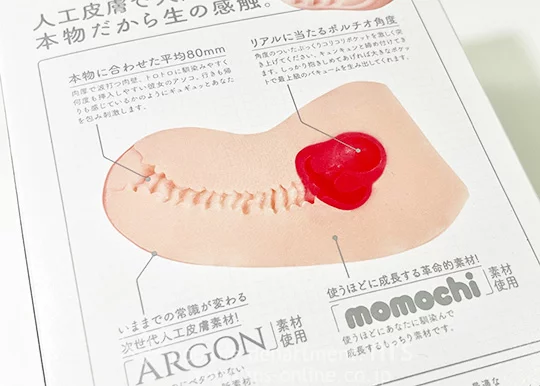 次世代HOLE HON-MONO ホンモノ 人工皮膚の断面図